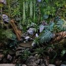 풀랜트
