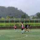 청송중학교 이미지