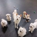 멍스가든 이미지