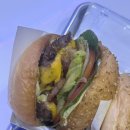 왕코인노래연습장 이미지