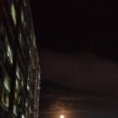 나비카센타 이미지