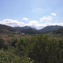 대강면사무소 이미지