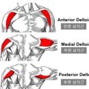 에이플러스짐 후곡학원가점 이미지