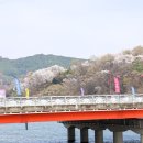 요천제방길 이미지