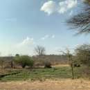 상업용 93 | 신혼여행] ep9. 잠베지강 선셋 크루즈 솔직 후기｜빅토리아폭포 여행 필수코스·잠베지강 명당자리...