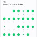 희망자전거 | 실내자전거 다이어트 후기. 과연 실내자전거는 살이 빠질까?