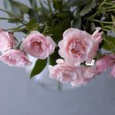 김학철「인연」 이미지