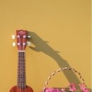 톡톡 우쿨렐레 이미지