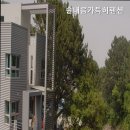 솔내음가득히 이미지