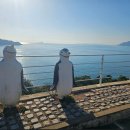 동백A(1차) 이미지