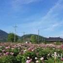 화순군산림조합 이미지