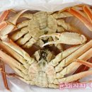 룰루상회