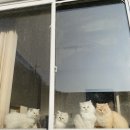 자호천생태학교 이미지