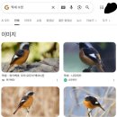 새아침공원 생태교육관 | [한강 생태공원 무료체험프로그램]🪿🍁”생태경관보전지역에도 가을이 와요“🍁🪿@고덕수변생태공원 주차 및...