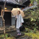 (주)아이비여행 이미지