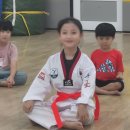 금메달 태권도장 이미지