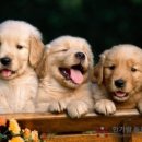 한가람병원 이미지