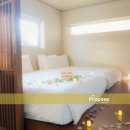 스테이그라피 이미지