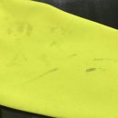 얼룩빼기이박사 이미지