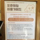 카페포춘 | 포천 가볼만한 애견카페🐶 ‘포춘테일’ 후기