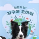 하울팟 위례점 이미지