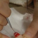 네일끌레르 이미지