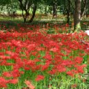 동백장여관 이미지