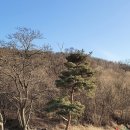 휴양림하우스