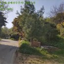 대조리마을회관 이미지