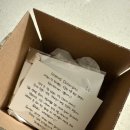 스틸 | 미아방지목걸이 써지컬스틸 내돈내산 후기 오노마제이