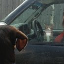 시골마을 이미지