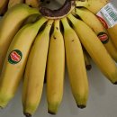 뽑고 또 뽑기 | 창원엘지세이커스 가챠삽 후기. 뽑기 운은 얼마나 될까?