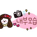 카페안행
