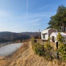 배때기네하우스 이미지