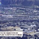 부산조방낙지 이미지