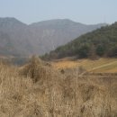 수선농장 이미지