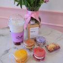 오늘도벨카롱 이미지