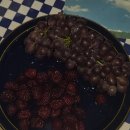 보경통상 | 24 上半期 :: 패디과 졸전 준비기