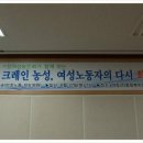 다운농장