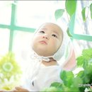 영은