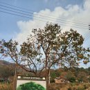 병천아우네순대 - 충주시 무학천변길 92 | 병천아우네순대