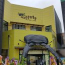 여주곤충박물관 이미지