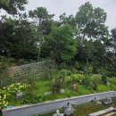 에어로필드(주)