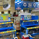 동해활어회센타 | 속초가성비횟집 주원수산 속초회포장 추천, 청호활어회센터 내돈내산 후기