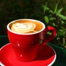 소풍농월 이미지