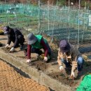 백석동행정복지센터 이미지