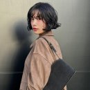 크레센트 이미지
