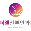 더엘산부인과의원 네이버블로그