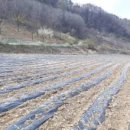 행복한전원공인중개사사무소 이미지