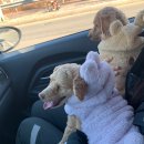 예당 앤 다울 이미지